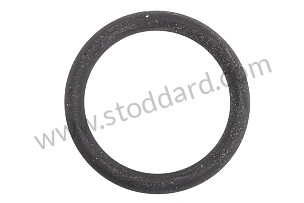 O-RING  (99970749940)