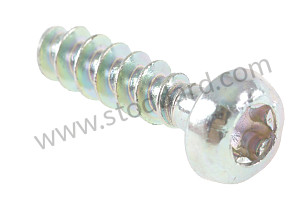 OVAL-HEAD SCREW  (99991901702)