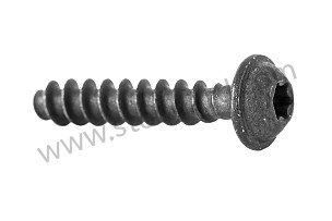 OVAL-HEAD SCREW  (99991915109)