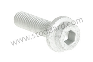 PAN-HEAD SCREW  (99921904301)