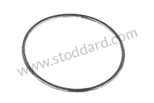 O-RING  (N90180902)