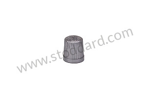 VALVE CAP SILVER / SILVER (N90872901)