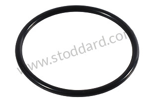 O-RING  (N90987001)