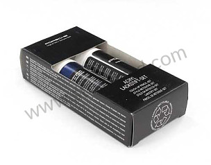 PAINT TOUCH-UP APPLICATOR  (91109593320M3W)
