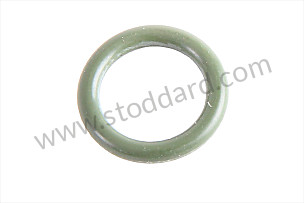 O-RING  (95534754300)