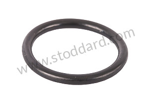 SEALING RING  (95532137900)