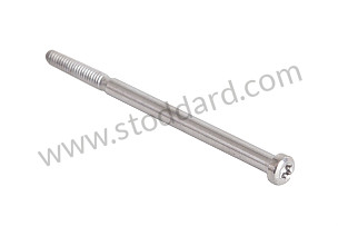 TORX SCREW  (N90906802)