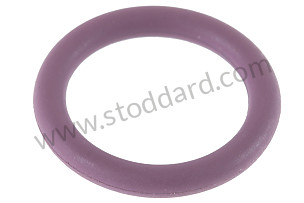 O-RING  (99970755841)