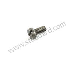 SCREW  (N0438641)