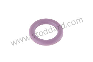 O-RING  (99970753141)