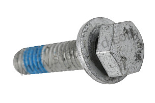 SCREW  (90007550601)