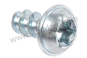 OVAL-HEAD SCREW  (99991916209)