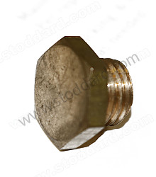 Screw Plug Cover For Fuel Pump  (61610842200)