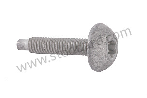 RND HEAD SCREW M 6 X 30 MM (99907334101)