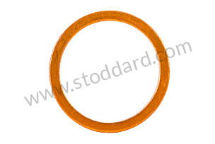 SEALING RING  (N10018401)
