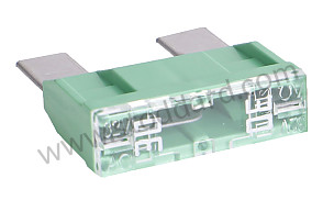 FUSE 30 AMPERE (99960707200)