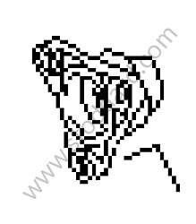 FLANGE  (99630203300)