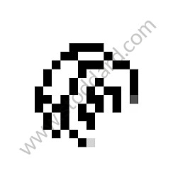 HEXAGON NUT 