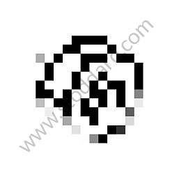 HEXAGON NUT 