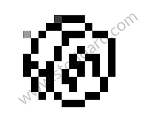 HEXAGON NUT 