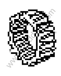 RING GEAR GEARBOX TYPE RCA + RCD