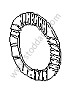 INNER DISC