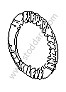 INNER DISC