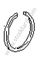 SEALING RING 