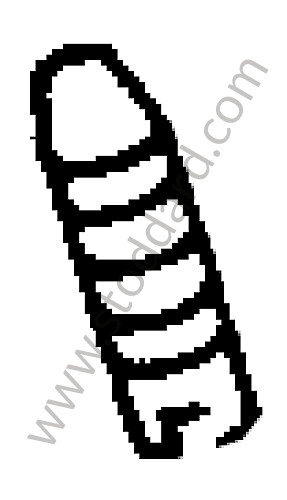 61610098800 - ADJUSTING SCREW for Porsche 356A &bull; 1957 &bull; 1600 S (616/2) &bull; Cabrio A T1 &bull; Manual Gearbox, 4 Speed