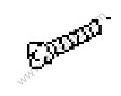 OVAL-HEAD SCREW
