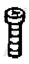 LENS-HEAD SCREW 