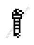 LENS-HEAD SCREW