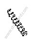 COMPRESSION SPRING