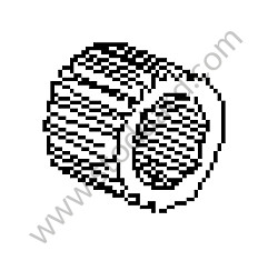 DISC CARRIER 