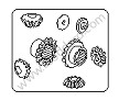 DIFFERENTIAL PINIONS