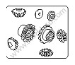 DIFFERENTIAL PINIONS