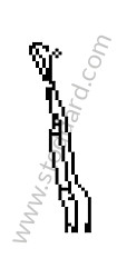 REINFORCEMENT RIGHT (94450205000)