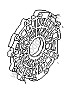 TRANSMISSION COVER