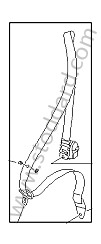 SEAT BELT 2 Versions available for this part
