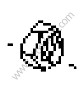 HEXAGON NUT