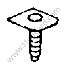 SCREW 
