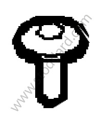 OVAL-HEAD SCREW 
