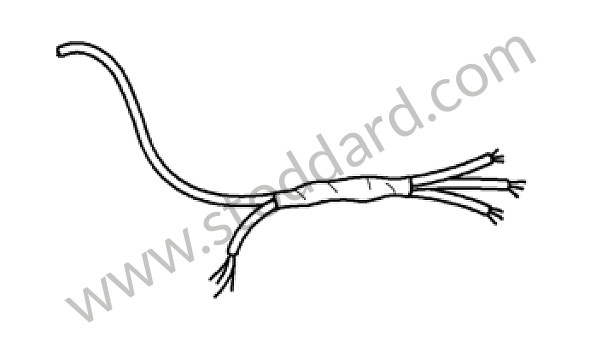 99761269600 - WIRING HARNESS for Porsche 997 Turbo 07-09 &bull; 2008 &bull; 997 Turbo &bull; Cabrio &bull; Manual Gearbox, 6 Speed