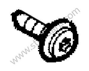 SCREW OPTION: PORSCHE LARGE ROOF SYSTEM (Option code: I3FU)