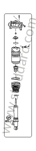 95533303322 - SPRING STRUT for Porsche Cayenne 955 03-06 &bull; 2003 &bull; Cayenne V6 &bull; Automatic Gearbox