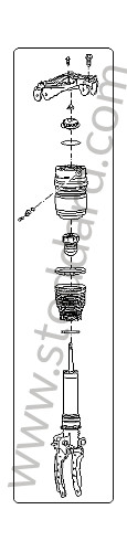 95534303351 - SPRING STRUT for Porsche Cayenne 955 03-06 &bull; 2006 &bull; Cayenne Turbo &bull; Automatic Gearbox