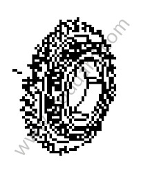LOOSE GEAR WHEEL REVERSE (99630209400)