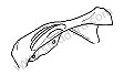 HEAT SHIELD