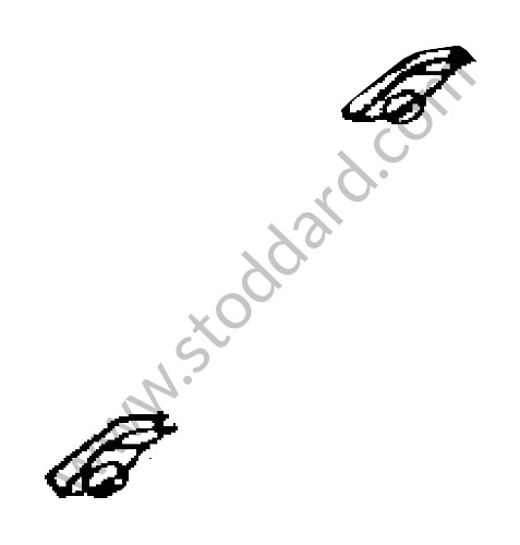 99950770201 - SPEED NUT for Porsche 996 Turbo &bull; 2004 &bull; 996 Turbo &bull; Cabrio &bull; Automatic Gearbox