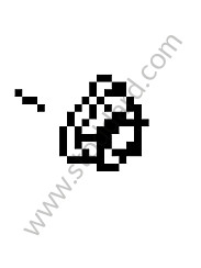 HEXAGON NUT 